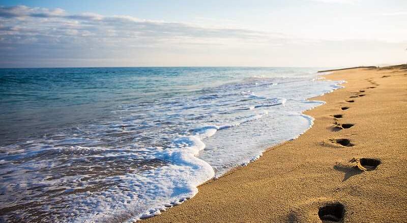 Footprints in the sand.