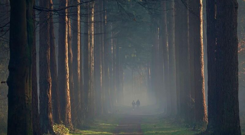Alto Veluwe, Países Bajos